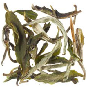 Yannan vert Céleste